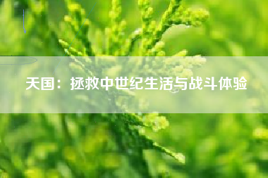 天国：拯救中世纪生活与战斗体验