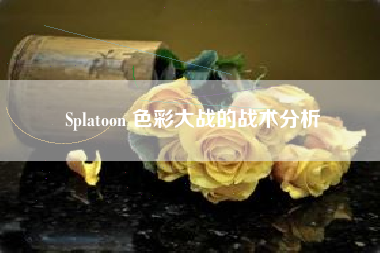 Splatoon 色彩大战的战术分析