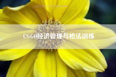 CS:GO经济管理与枪法训练