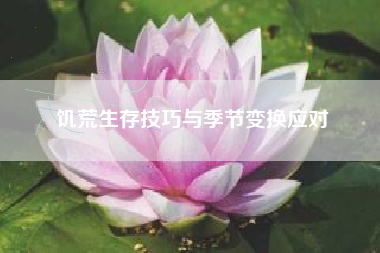 饥荒生存技巧与季节变换应对