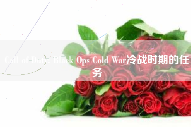 Call of Duty: Black Ops Cold War冷战时期的任务