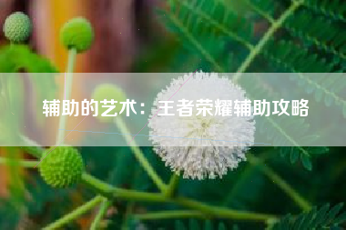 辅助的艺术：王者荣耀辅助攻略