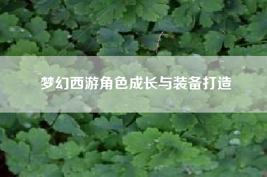 梦幻西游角色成长与装备打造