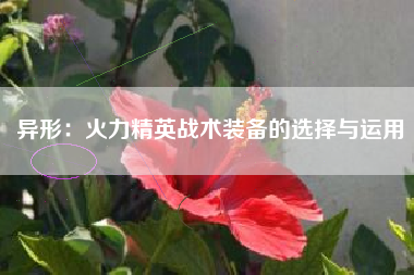 异形：火力精英战术装备的选择与运用