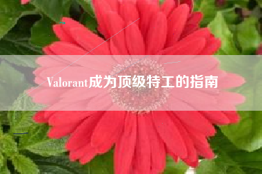 Valorant成为顶级特工的指南