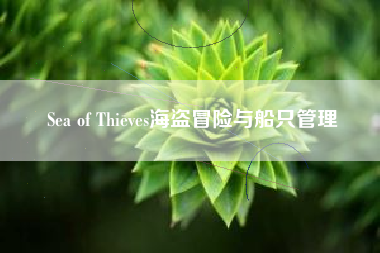 Sea of Thieves海盗冒险与船只管理