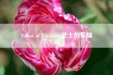 Ghost of Tsushima武士的荣耀