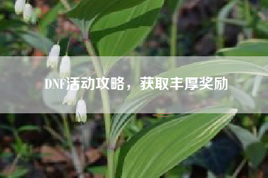 DNF活动攻略，获取丰厚奖励