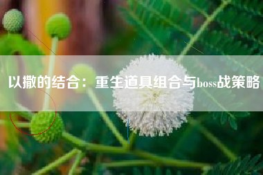 以撒的结合：重生道具组合与boss战策略