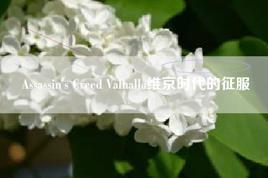 Assassin's Creed Valhalla维京时代的征服