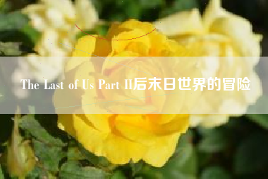 The Last of Us Part II后末日世界的冒险