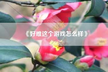 《好难这个游戏怎么样》