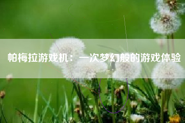 帕梅拉游戏机：一次梦幻般的游戏体验