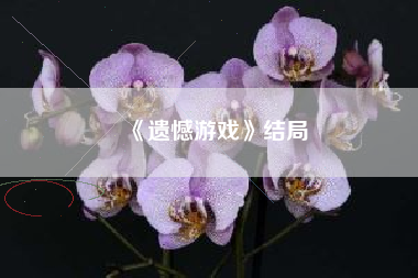 《遗憾游戏》结局