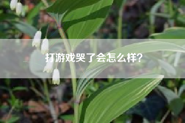 打游戏哭了会怎么样？