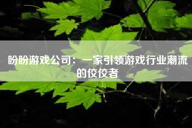 盼盼游戏公司：一家引领游戏行业潮流的佼佼者