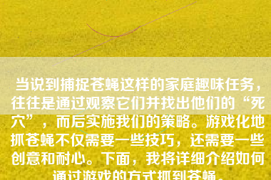 当说到捕捉苍蝇这样的家庭趣味任务，往往是通过观察它们并找出他们的“死穴”，而后实施我们的策略。游戏化地抓苍蝇不仅需要一些技巧，还需要一些创意和耐心。下面，我将详细介绍如何通过游戏的方式抓到苍蝇。