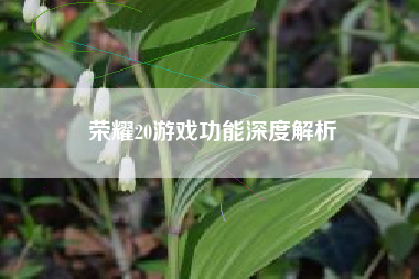 荣耀20游戏功能深度解析