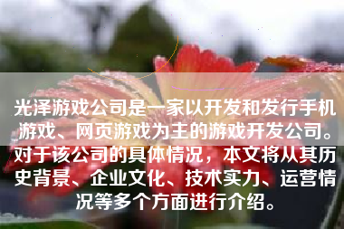 光泽游戏公司是一家以开发和发行手机游戏、网页游戏为主的游戏开发公司。对于该公司的具体情况，本文将从其历史背景、企业文化、技术实力、运营情况等多个方面进行介绍。