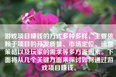 游戏项目赚钱的方式多种多样，主要依赖于项目的开发质量、市场定位、运营策略以及玩家的需求等多方面因素。下面将从几个关键方面来探讨如何通过游戏项目赚钱。