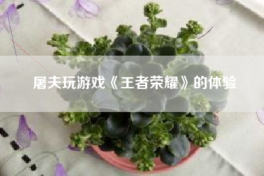 屠夫玩游戏《王者荣耀》的体验