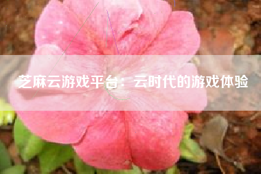 芝麻云游戏平台：云时代的游戏体验