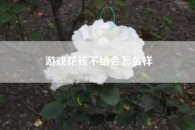 游戏花钱不给会怎么样