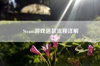 Steam游戏退款流程详解