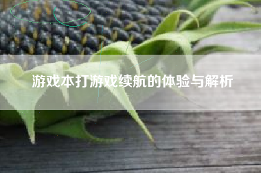 游戏本打游戏续航的体验与解析