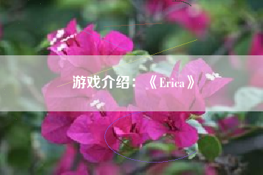 游戏介绍：《Erica》