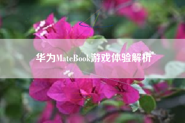 华为MateBook游戏体验解析