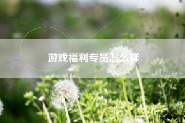 游戏福利专员怎么样