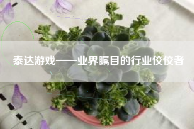 泰达游戏——业界瞩目的行业佼佼者