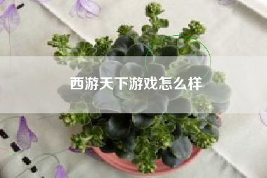 西游天下游戏怎么样