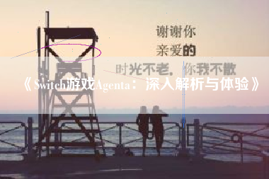 《Switch游戏Agenta：深入解析与体验》