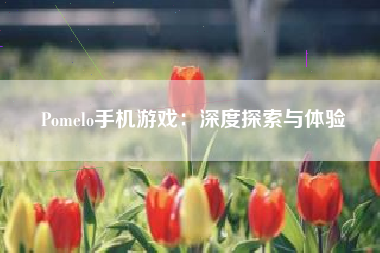 Pomelo手机游戏：深度探索与体验