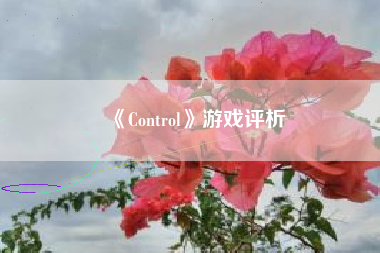 《Control》游戏评析