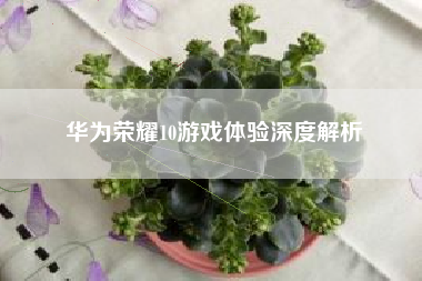 华为荣耀10游戏体验深度解析