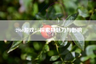 2960游戏：探索其魅力与影响