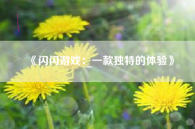 《闪闪游戏：一款独特的体验》