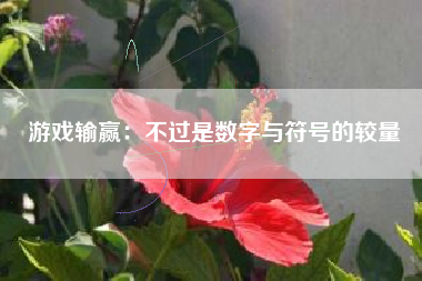 游戏输赢：不过是数字与符号的较量