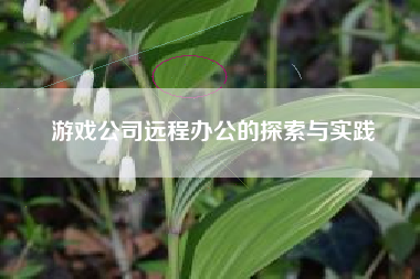 游戏公司远程办公的探索与实践