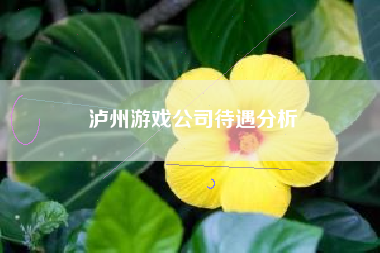 泸州游戏公司待遇分析