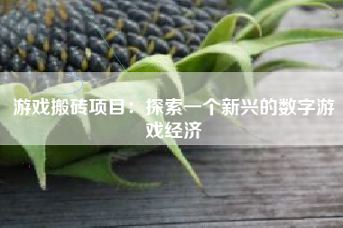 游戏搬砖项目：探索一个新兴的数字游戏经济