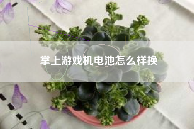 掌上游戏机电池怎么样换