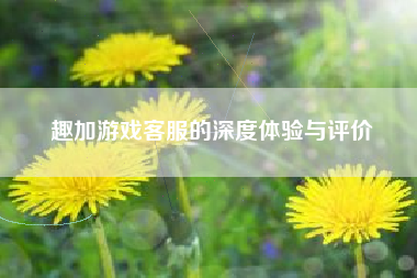 趣加游戏客服的深度体验与评价