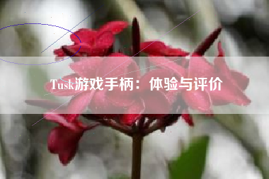 Tusk游戏手柄：体验与评价