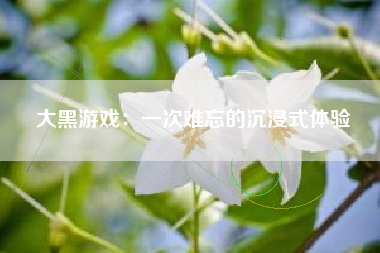 大黑游戏：一次难忘的沉浸式体验