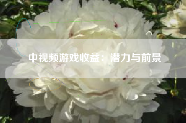 中视频游戏收益：潜力与前景