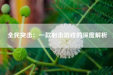 全民突击：一款射击游戏的深度解析